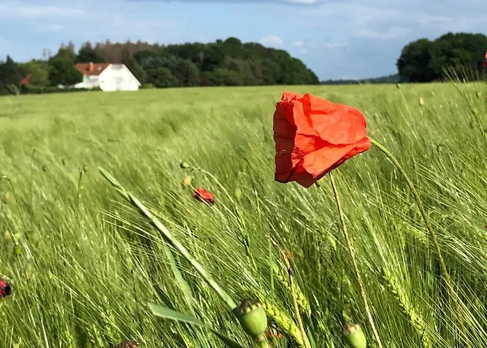 Wg 1 Between Teutoburger, And Uni Lejlighed
