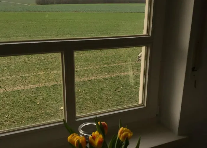 Wg 1 Between Teutoburger, And Uni Bielefeld